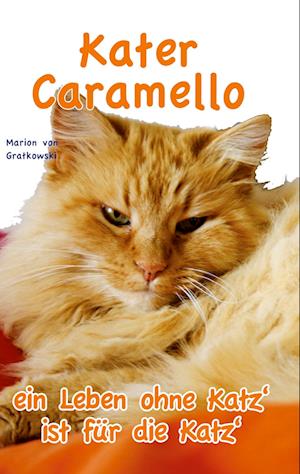 Kater Caramello - ein Leben ohne Katz' ist für die Katz'