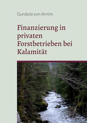 Finanzierung in privaten Forstbetrieben bei Kalamität