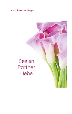 SeelenPartnerLiebe