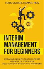 interim management for beginners