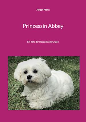 Prinzessin Abbey