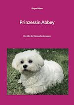 Prinzessin Abbey