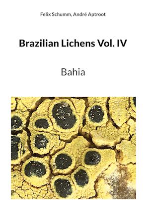 Brazilian Lichens Vol. IV