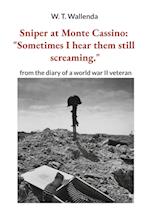 Sniper at Monte Cassino: "Sometimes I hear them still screaming."