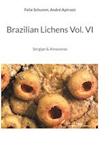 Brazilian Lichens Vol. VI