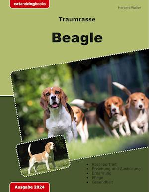 Traumrasse: Beagle