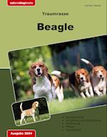 Traumrasse: Beagle