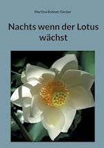 Nachts wenn der Lotus wächst