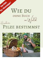 Wie du ohne Buch im Wald Hunderte Pilze bestimmst