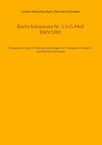 Bachs Solosonate Nr. 1 in G-Moll BWV1001