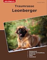 Traumrasse Leonberger