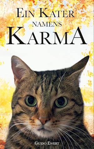 Ein Kater namens Karma