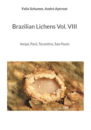 Brazilian Lichens Vol. VIII