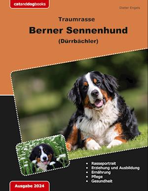 Traumrasse Berner Sennenhund