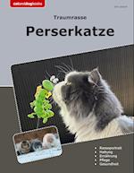 Traumrasse Perserkatze