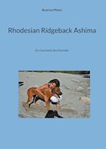 Rhodesian Ridgeback Ashima