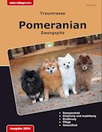 Traumrasse Pomeranian