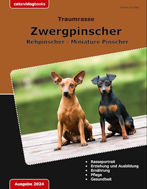 Traumrasse Zwergpinscher