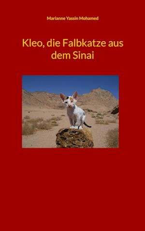 Kleo, die Falbkatze aus dem Sinai