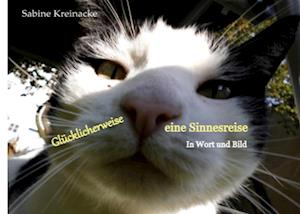 Glücklicherweise eine Sinnesreise