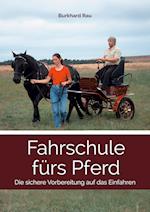 Fahrschule fürs Pferd