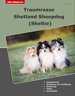 Traumrasse Shetland Sheepdog