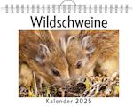 Wildschweine (Wandkalender 2025, Kalender DIN A4 quer, Monatskalender im Querformat mit Kalendarium, Das perfekte Geschenk)