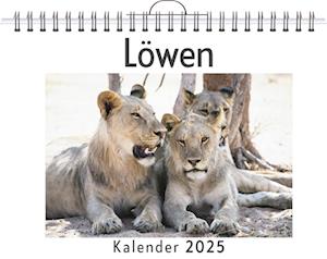 Löwen (Wandkalender 2025, Kalender DIN A4 quer, Monatskalender im Querformat mit Kalendarium, Das perfekte Geschenk)