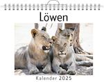 Löwen (Wandkalender 2025, Kalender DIN A4 quer, Monatskalender im Querformat mit Kalendarium, Das perfekte Geschenk)