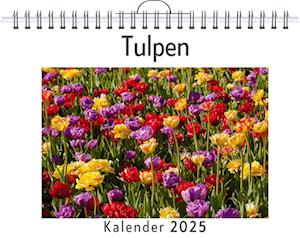 Tulpen