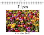 Tulpen