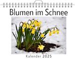 Blumen im Schnee