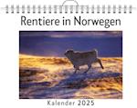 Rentiere in Norwegen