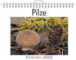 Pilze