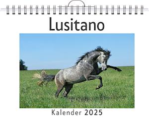 Lusitano