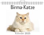 Birma-Katze