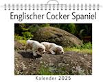 Englischer Cocker Spaniel