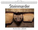 Steinmarder