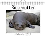 Riesenotter