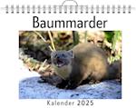 Baummarder