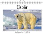 Eisbär