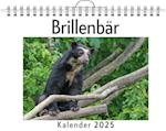 Brillenbär