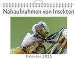 Nahaufnahmen von Insekten