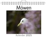 Möwen