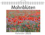 Mohnblüten