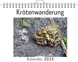 Krötenwanderung