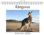 Kängurus - (Wandkalender 2025, Kalender DIN A4 quer, Monatskalender im Querformat mit Kalendarium, das perfekte Geschenk)