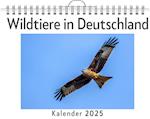 Wildtiere in Deutschland - (Wandkalender 2025, Kalender DIN A4 quer, Monatskalender im Querformat mit Kalendarium, das perfekte Geschenk)