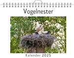 Vogelnester - (Wandkalender 2025, Kalender DIN A4 quer, Monatskalender im Querformat mit Kalendarium, das perfekte Geschenk)