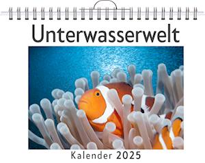 Unterwasserwelt - (Wandkalender 2025, Kalender DIN A4 quer, Monatskalender im Querformat mit Kalendarium, das perfekte Geschenk)